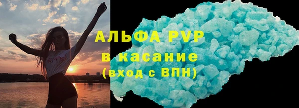 шишки Новодвинск