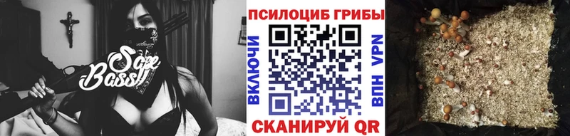 Псилоцибиновые грибы ЛСД Лесозаводск